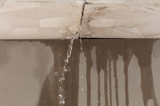 Professional Structural Drying technician working in Pine River, WI